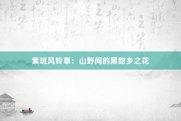 紫斑风铃草：山野间的黑甜乡之花