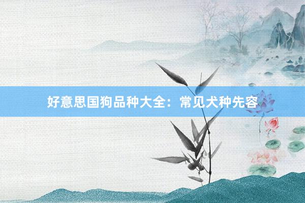 好意思国狗品种大全：常见犬种先容