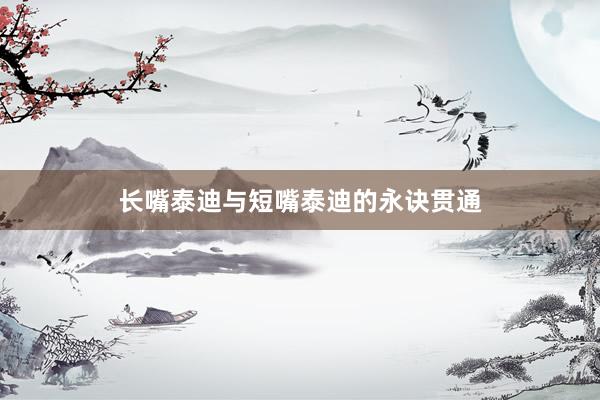 长嘴泰迪与短嘴泰迪的永诀贯通
